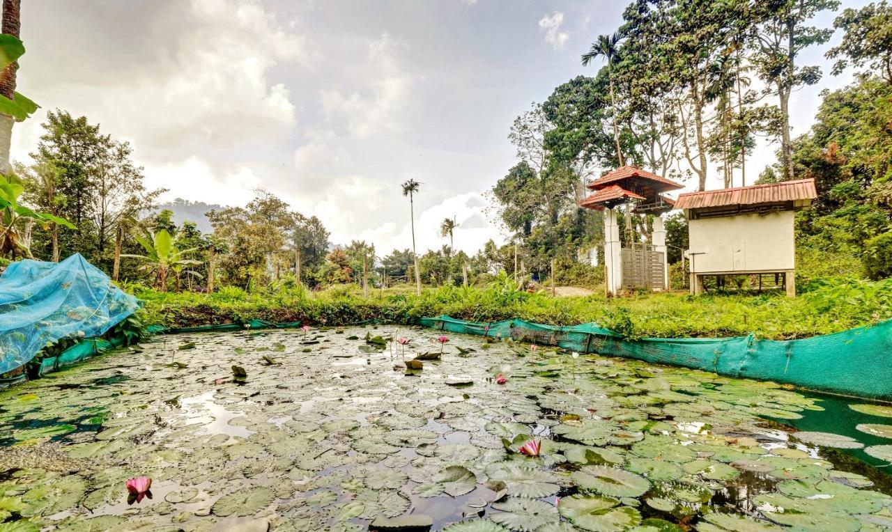Treebo Tryst Jathika Resorts كاليكوت المظهر الخارجي الصورة