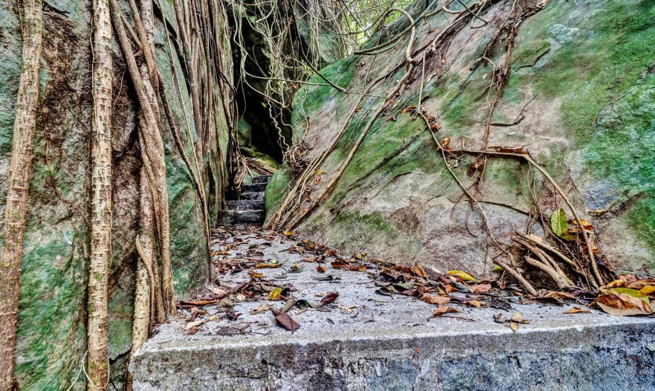 Treebo Tryst Jathika Resorts كاليكوت المظهر الخارجي الصورة