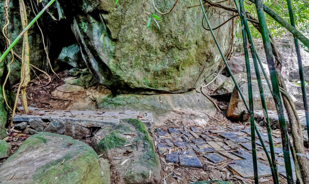 Treebo Tryst Jathika Resorts كاليكوت المظهر الخارجي الصورة