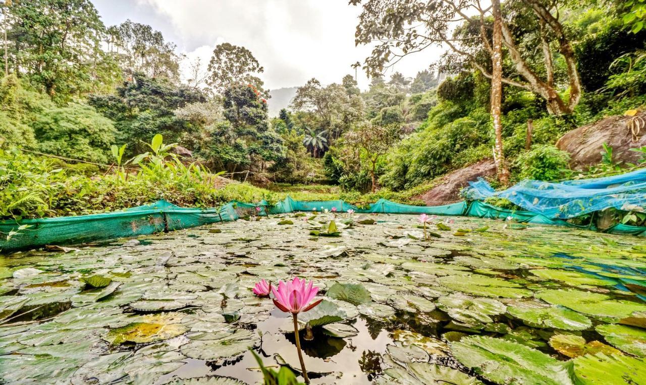 Treebo Tryst Jathika Resorts كاليكوت المظهر الخارجي الصورة
